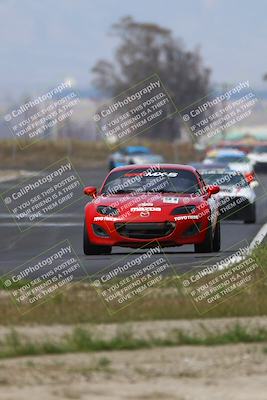 media/Mar-16-2025-CalClub SCCA (Sun) [[e72803ec8c]]/Group 2/Race (Turn 9)/